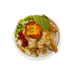 Bouddha Bowl ravioli